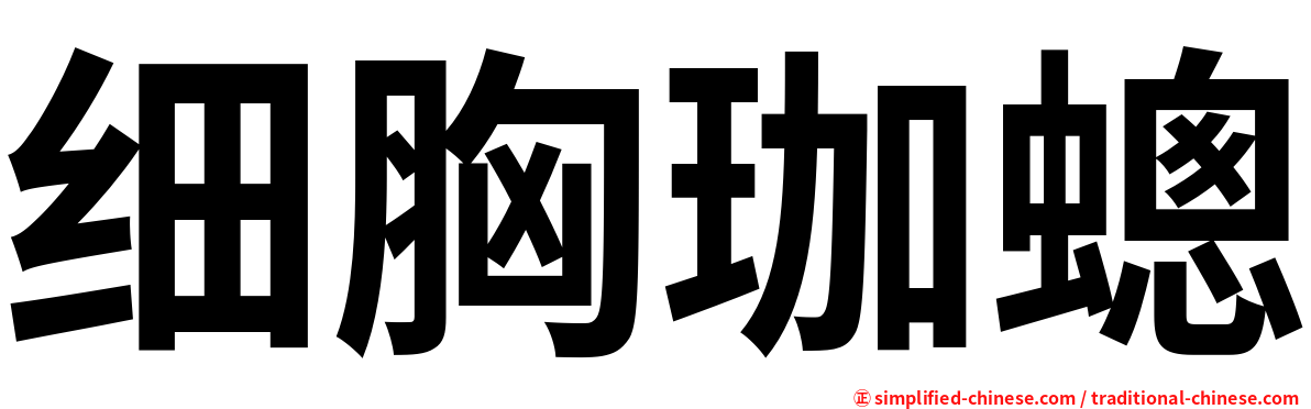 细胸珈蟌