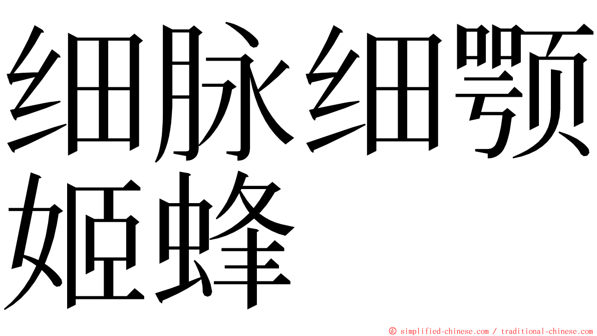 细脉细颚姬蜂 ming font