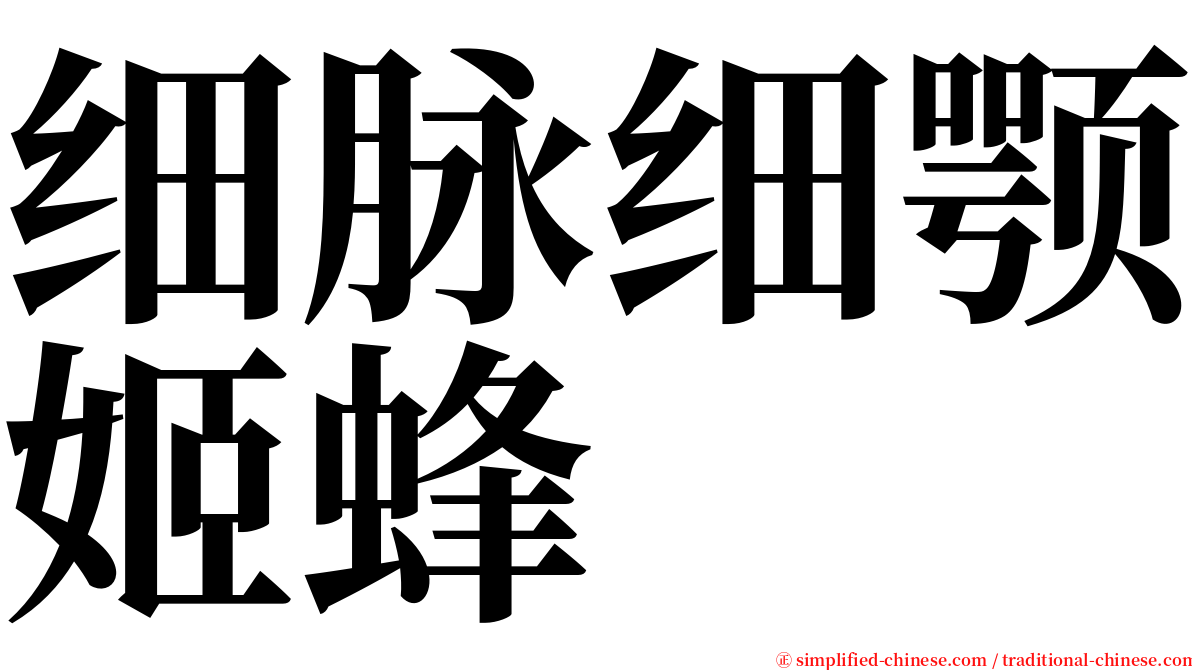 细脉细颚姬蜂 serif font