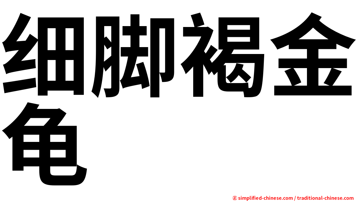 细脚褐金龟