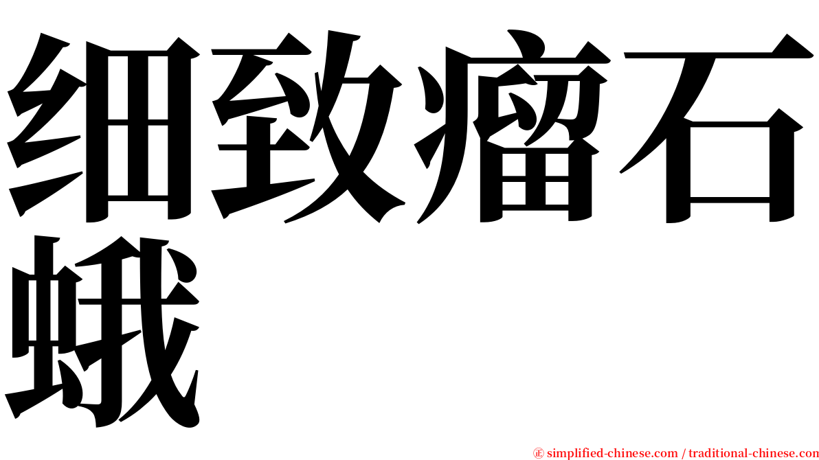 细致瘤石蛾 serif font