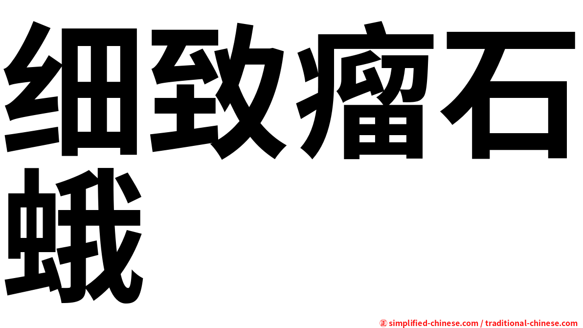 细致瘤石蛾