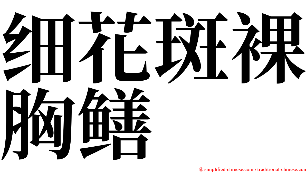 细花斑裸胸鳝 serif font