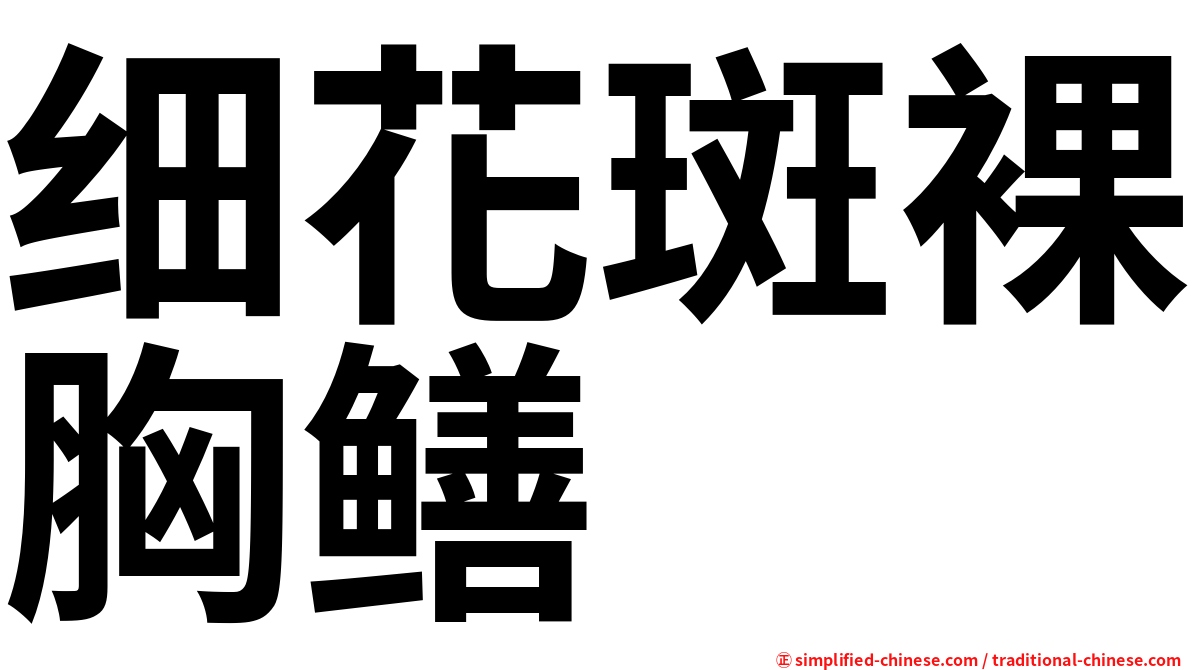 细花斑裸胸鳝