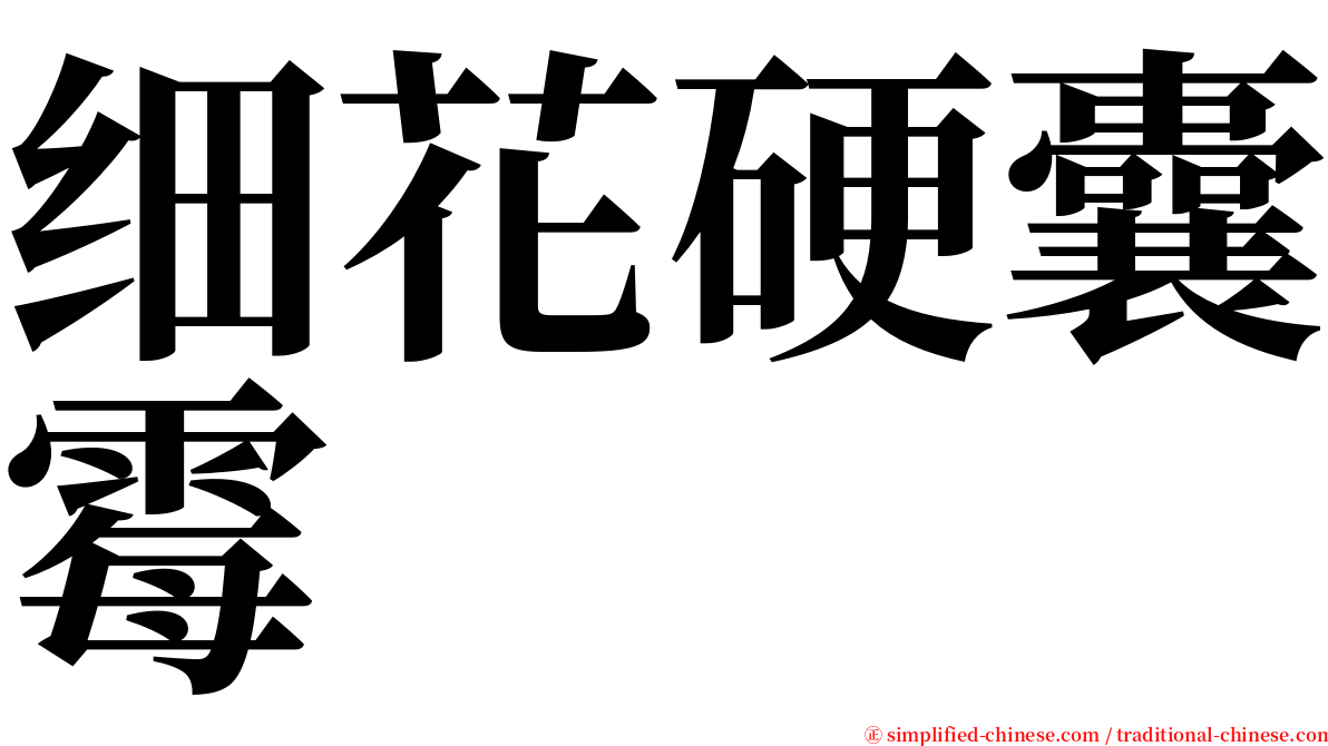 细花硬囊霉 serif font