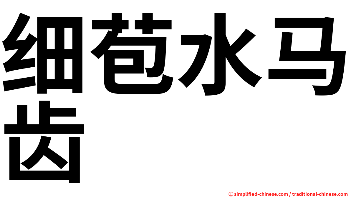 细苞水马齿