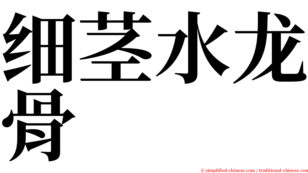 细茎水龙骨 serif font