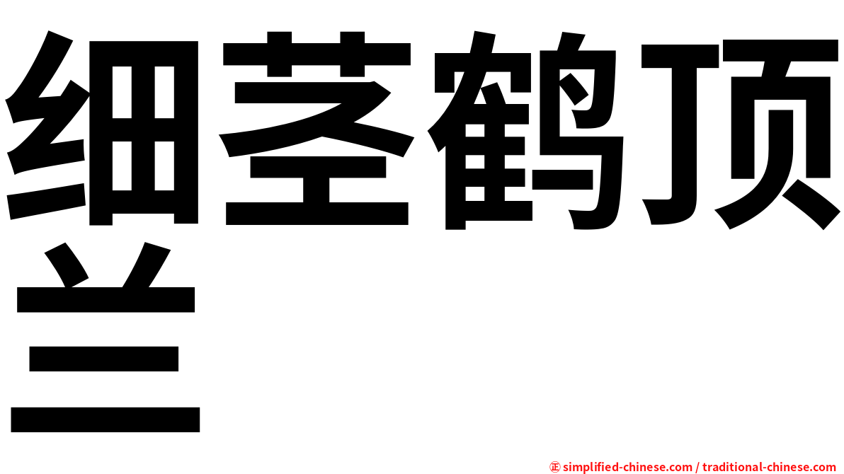 细茎鹤顶兰