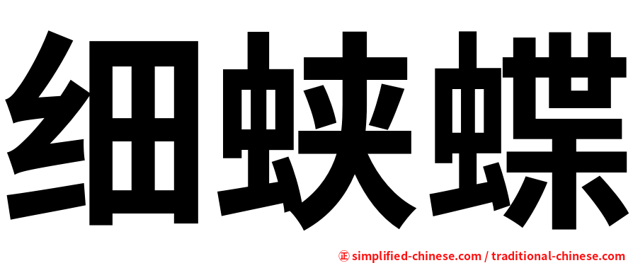 细蛱蝶