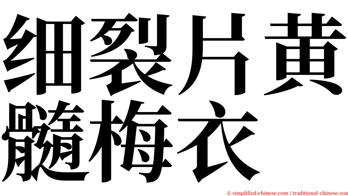 细裂片黄髓梅衣 serif font