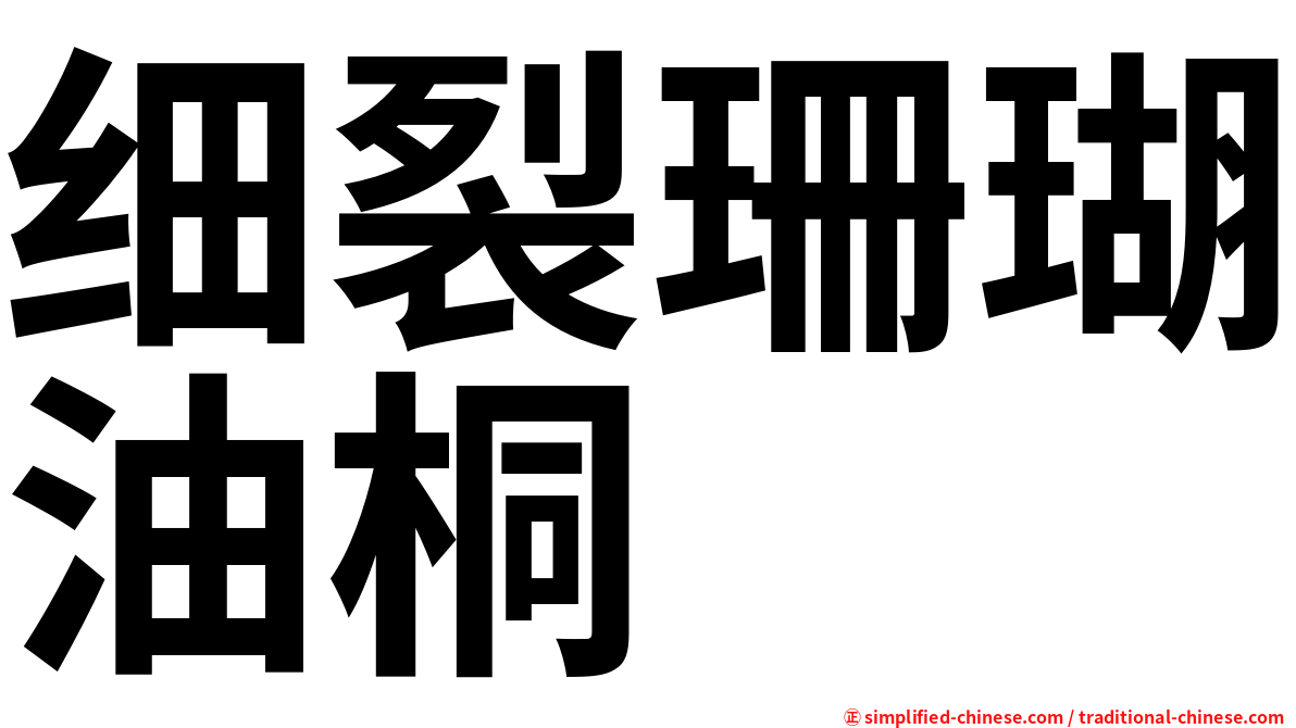 细裂珊瑚油桐