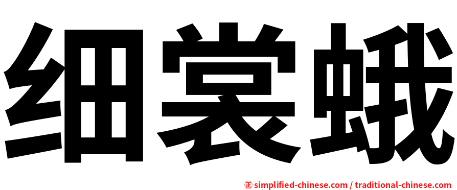 细裳蛾