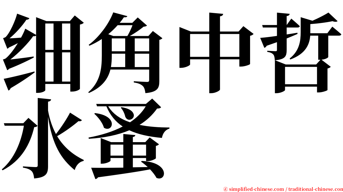 细角中哲水蚤 serif font
