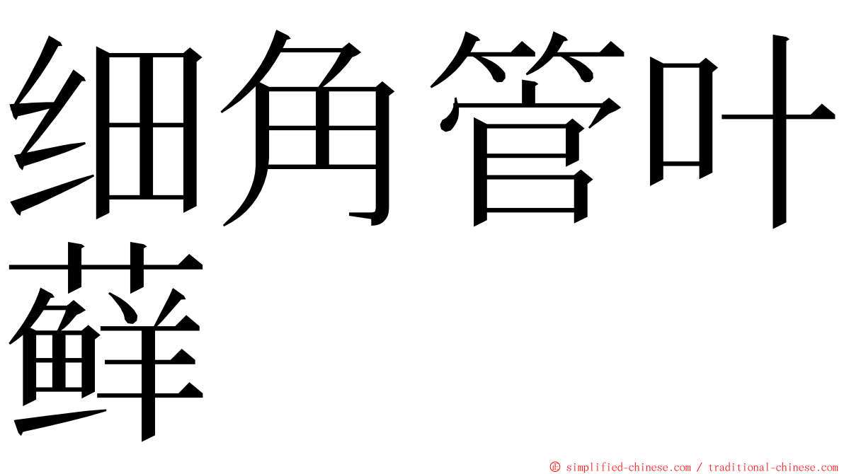 细角管叶藓 ming font