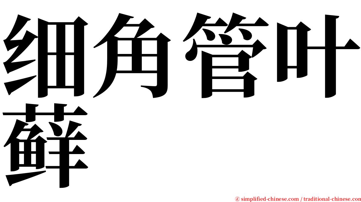 细角管叶藓 serif font