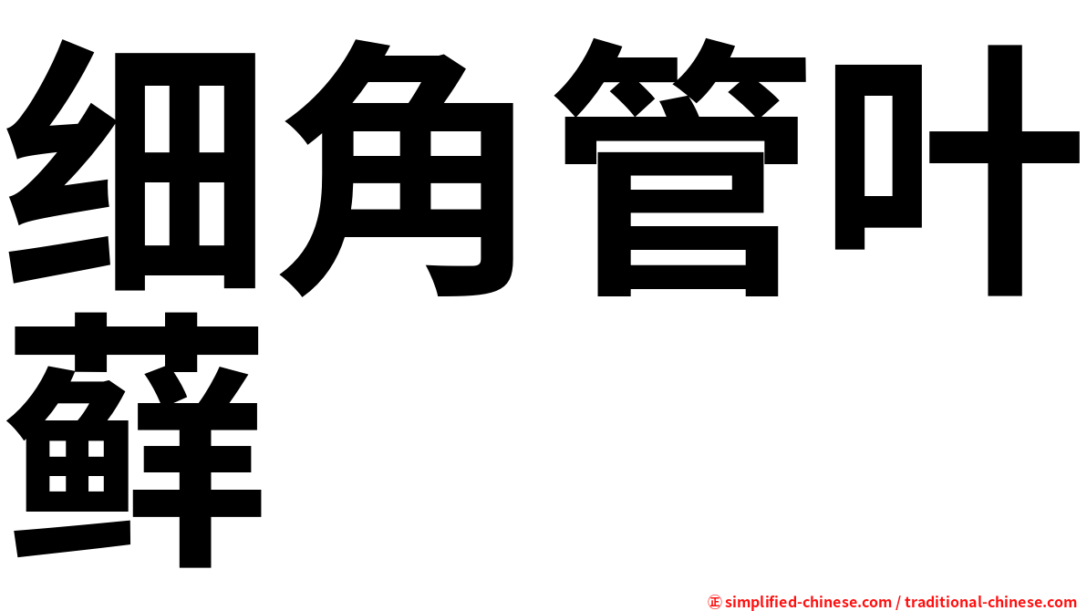 细角管叶藓