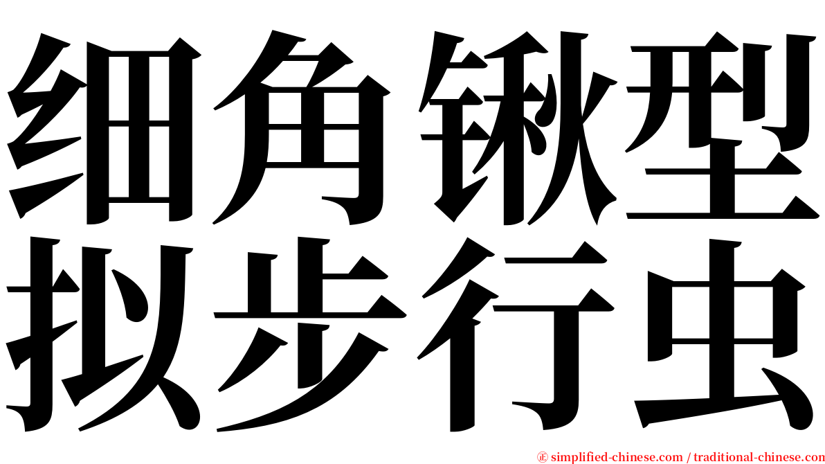 细角锹型拟步行虫 serif font
