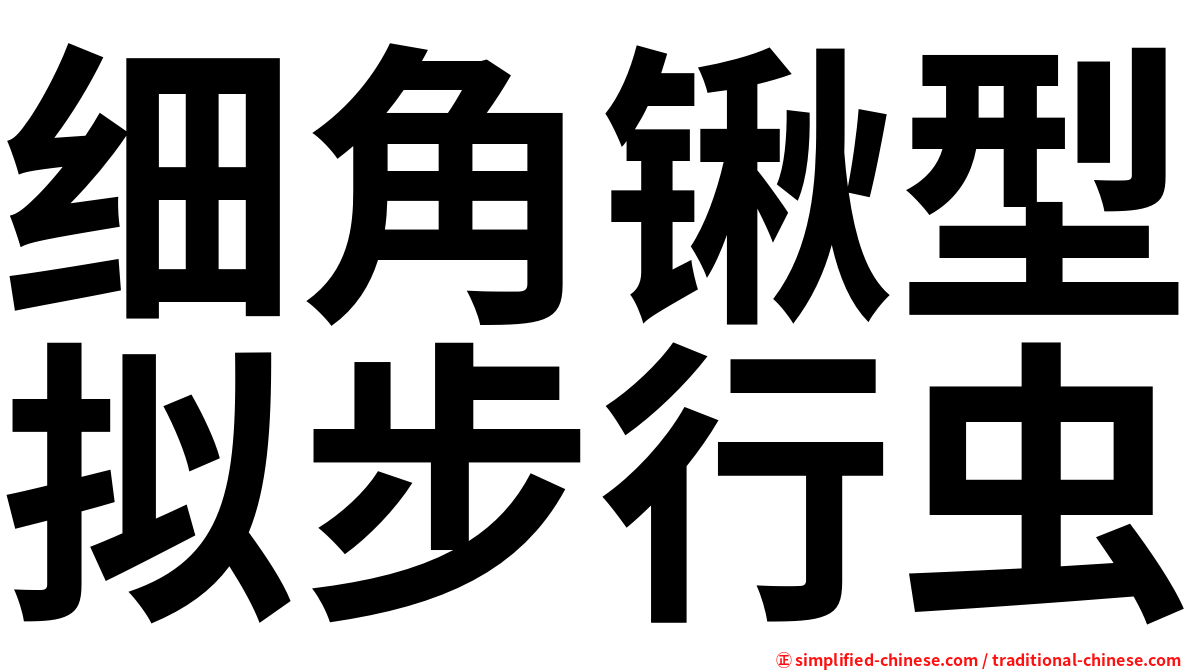 细角锹型拟步行虫