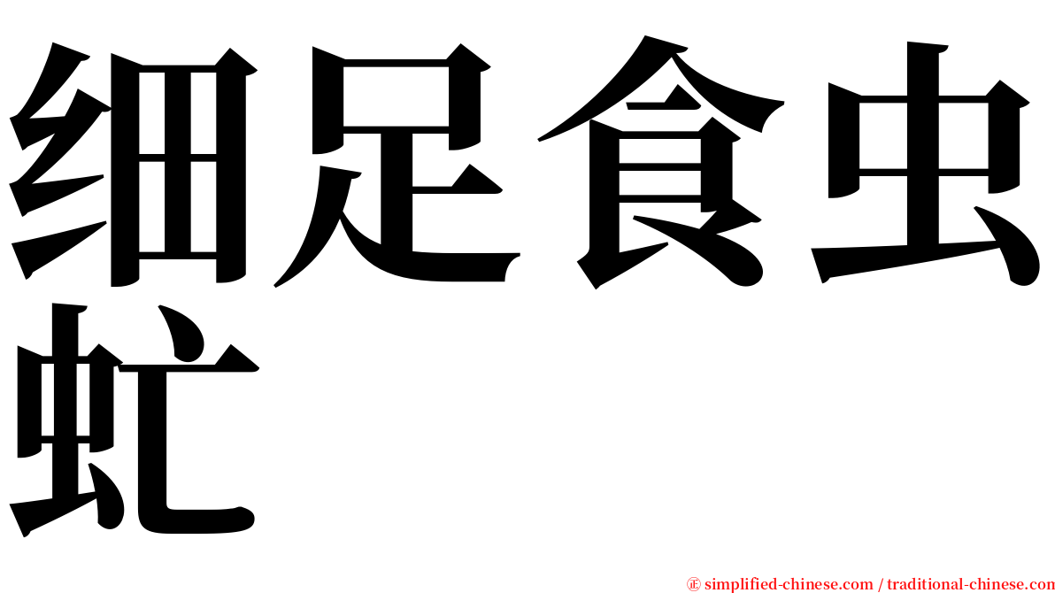 细足食虫虻 serif font