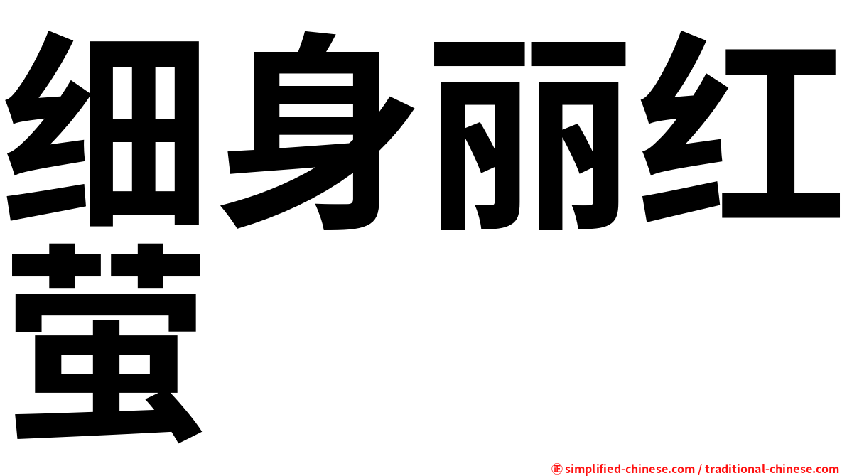 细身丽红萤