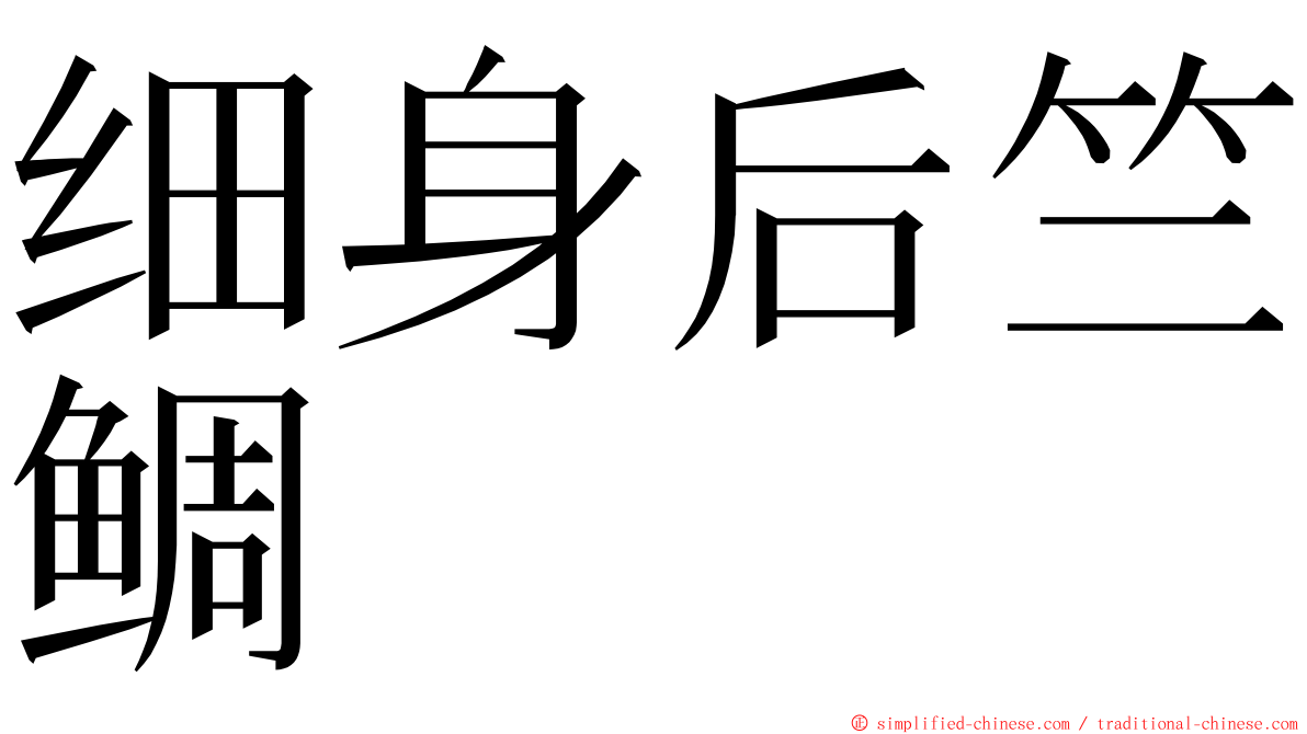 细身后竺鲷 ming font