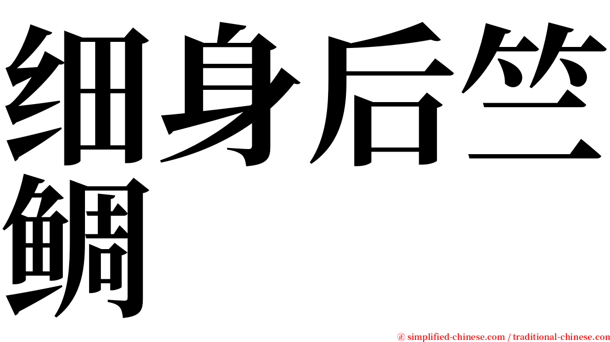 细身后竺鲷 serif font