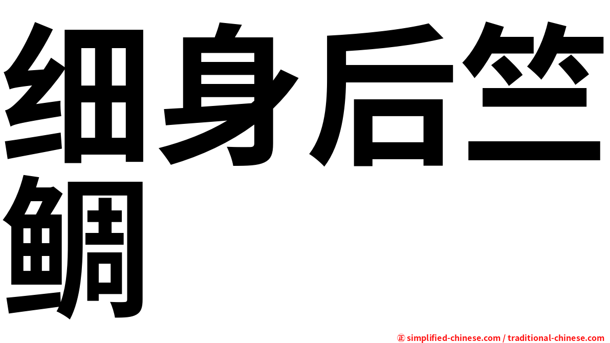 细身后竺鲷
