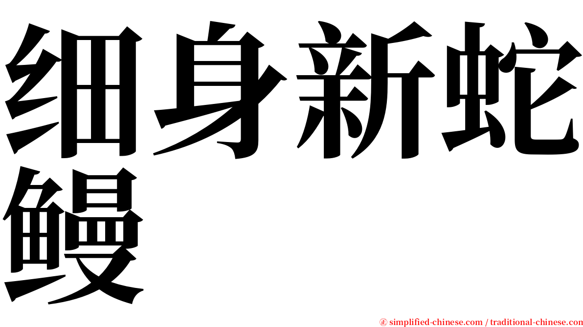 细身新蛇鳗 serif font