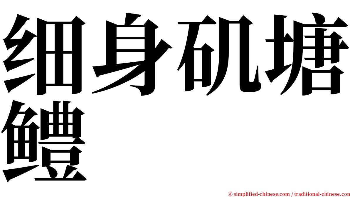 细身矶塘鳢 serif font