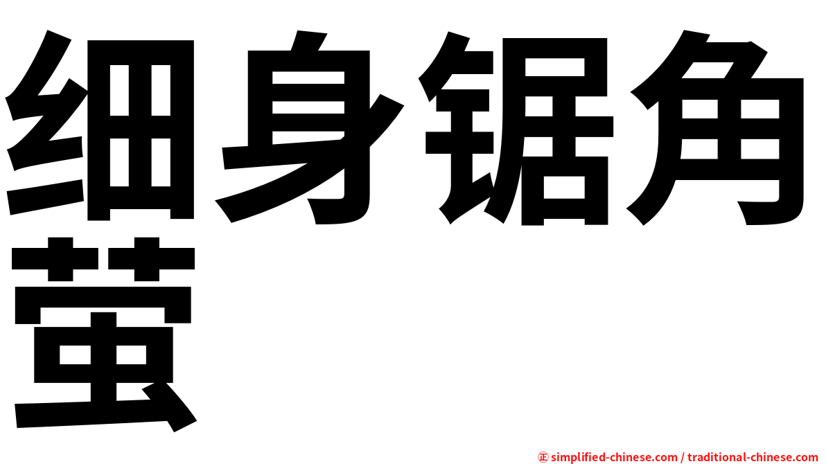 细身锯角萤