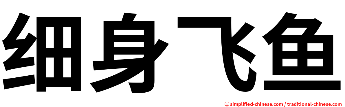 细身飞鱼