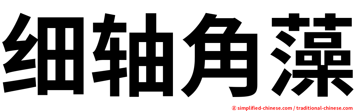 细轴角藻