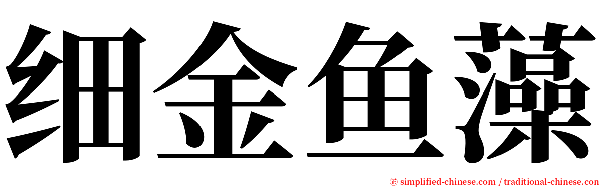 细金鱼藻 serif font