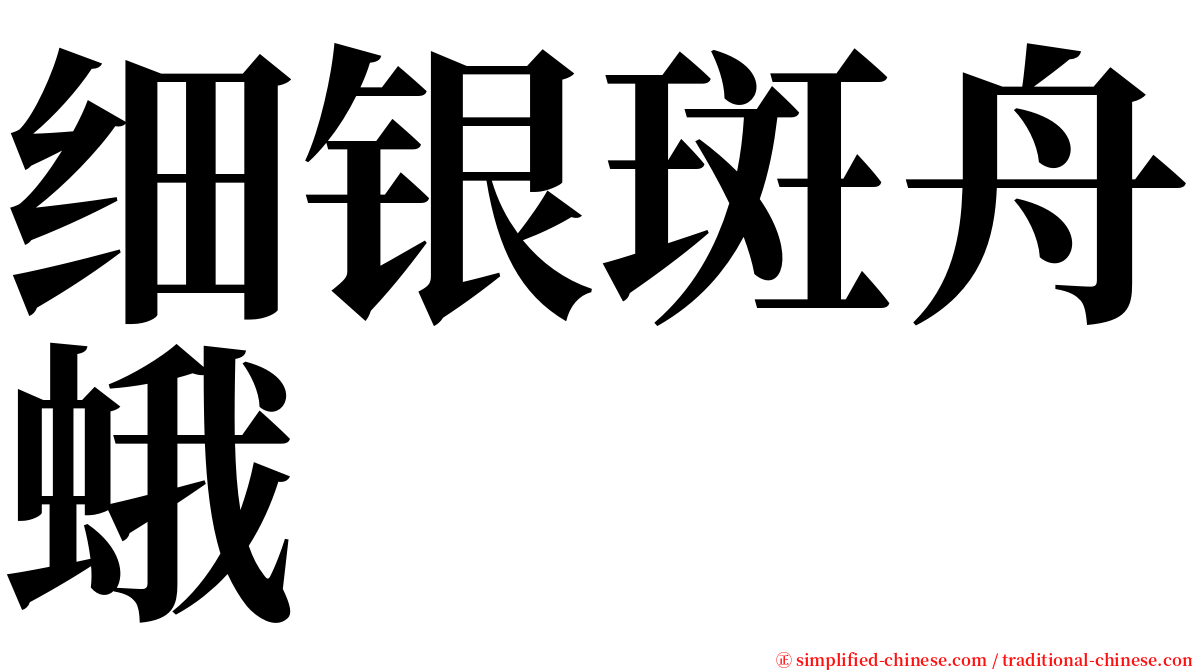 细银斑舟蛾 serif font