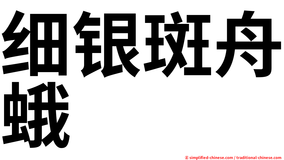 细银斑舟蛾