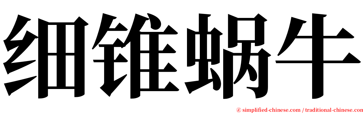 细锥蜗牛 serif font