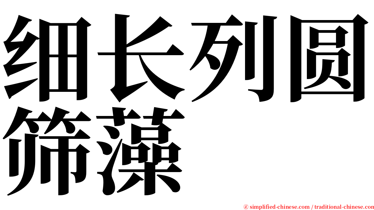 细长列圆筛藻 serif font