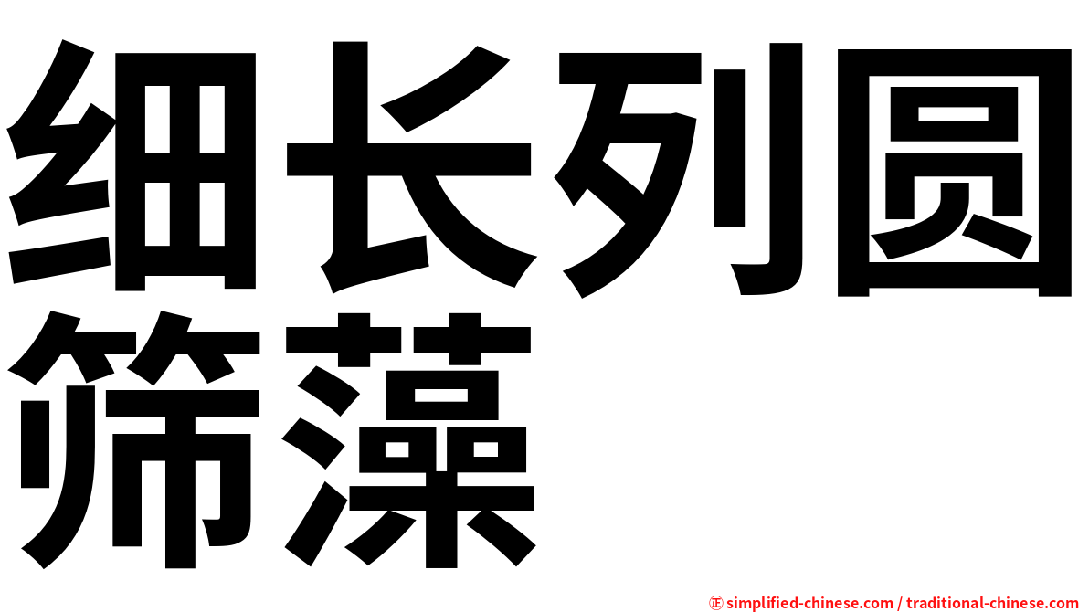 细长列圆筛藻