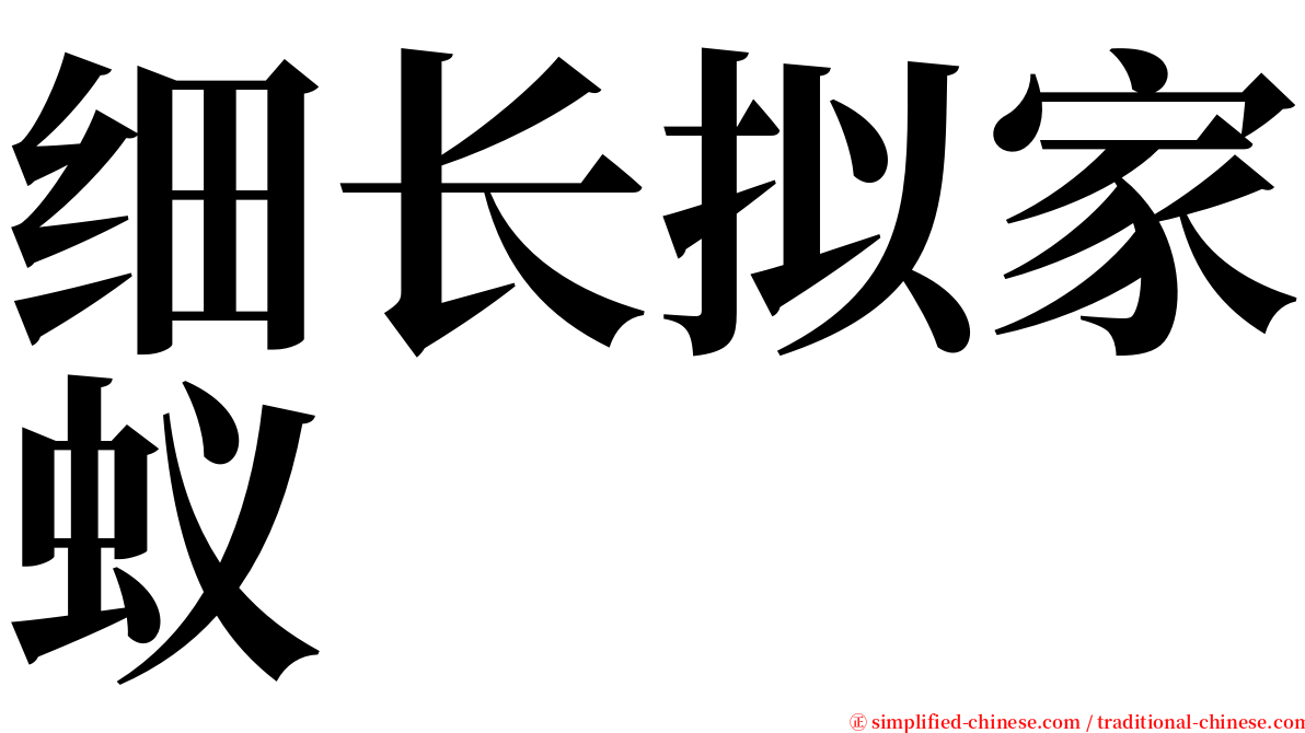 细长拟家蚁 serif font