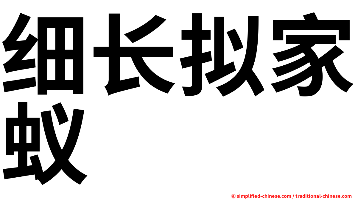 细长拟家蚁