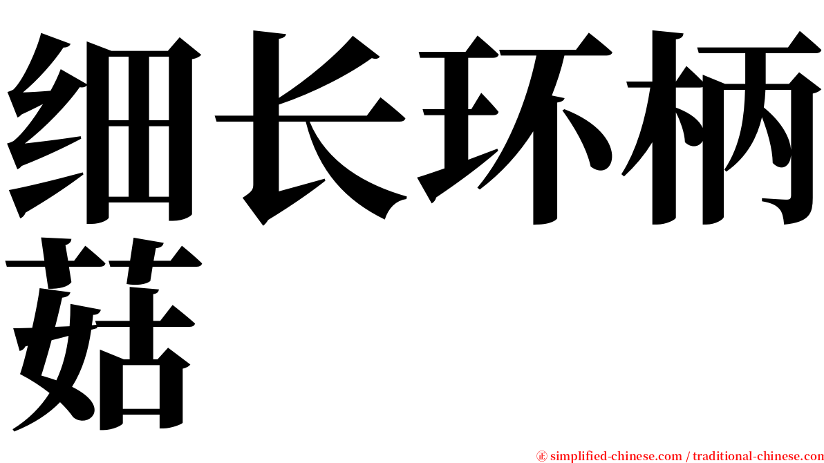 细长环柄菇 serif font