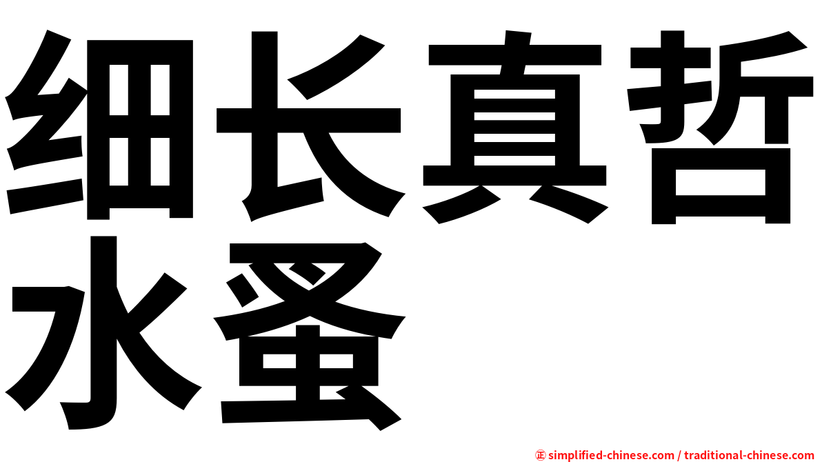 细长真哲水蚤