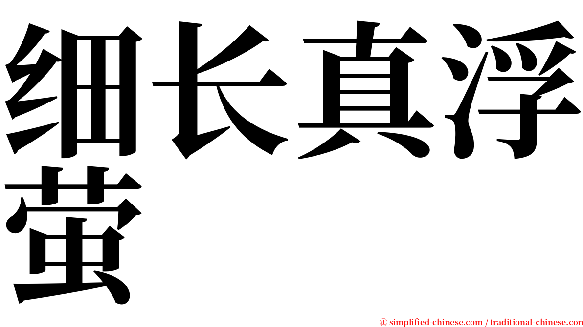 细长真浮萤 serif font