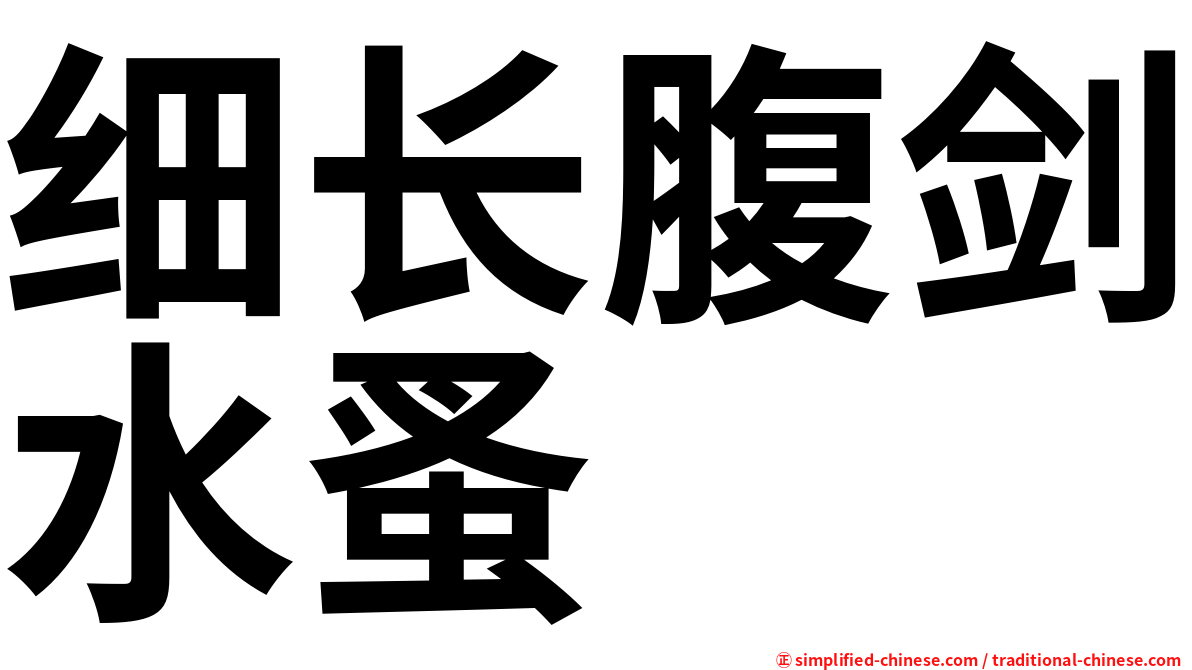细长腹剑水蚤