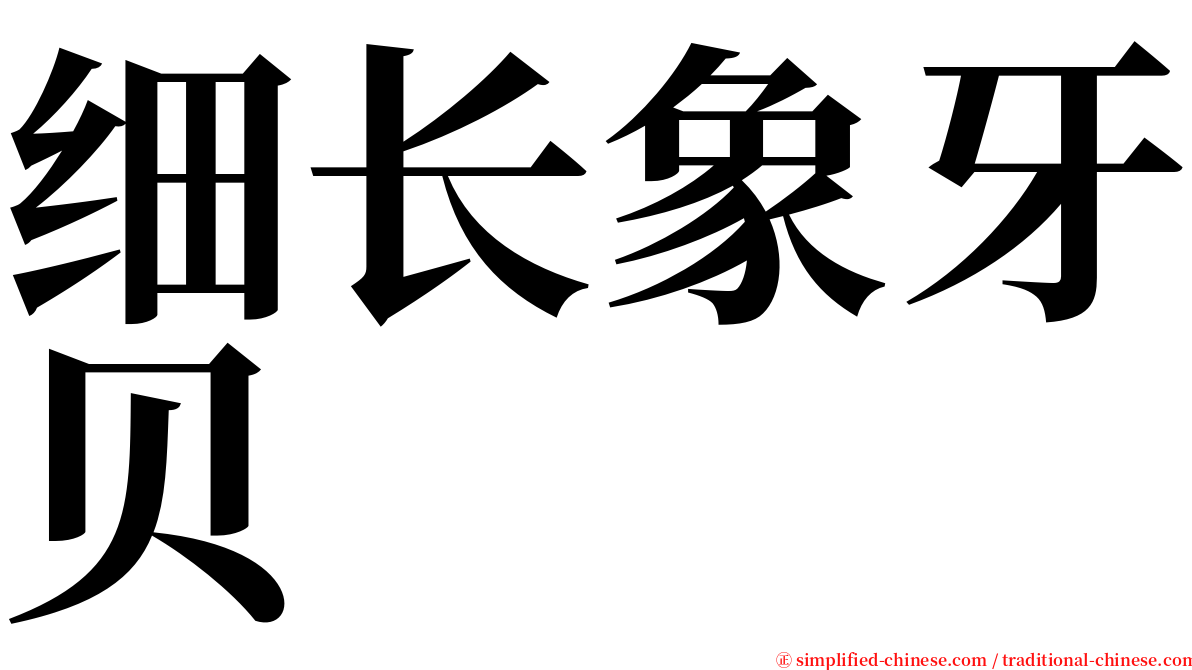 细长象牙贝 serif font