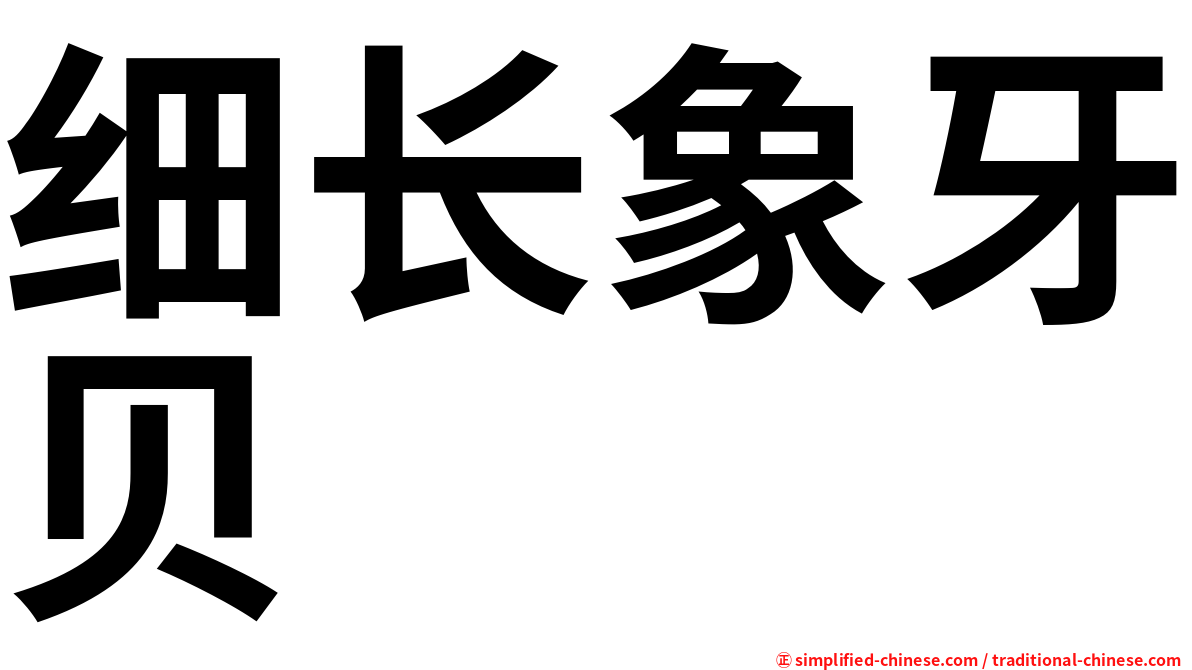 细长象牙贝