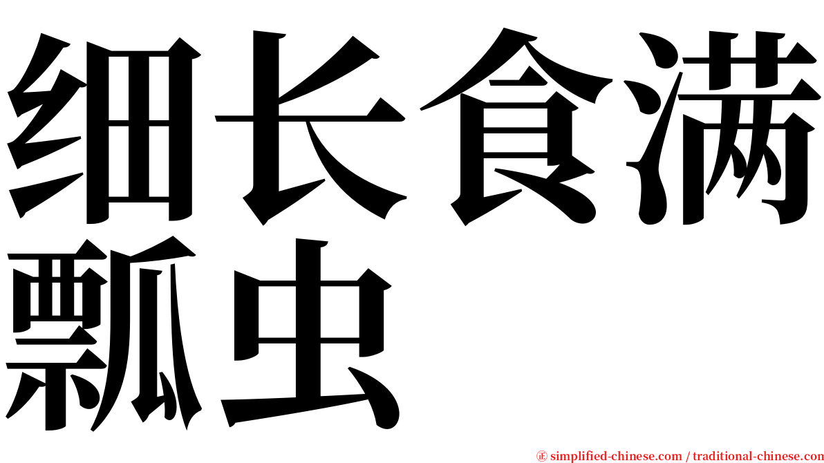 细长食满瓢虫 serif font