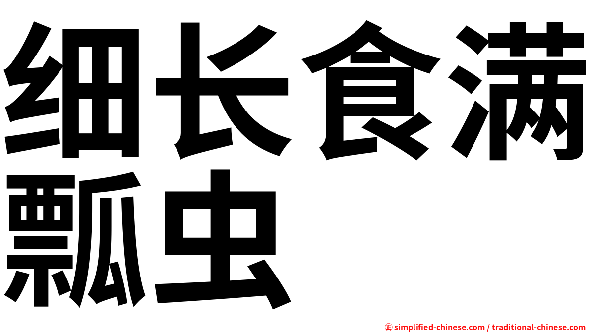 细长食满瓢虫
