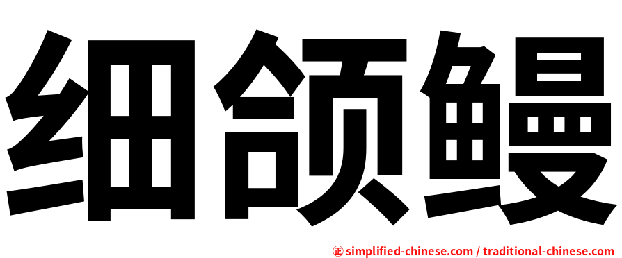 细颌鳗
