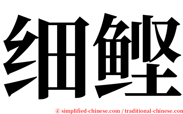 细鲣 serif font